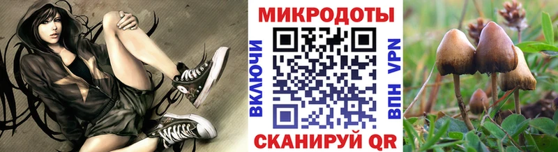 Купить закладки  Бронницы  Галлюциногенные грибы Cubensis 